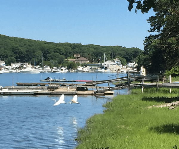 Pine Grove East Lyme CT & Niantic CT