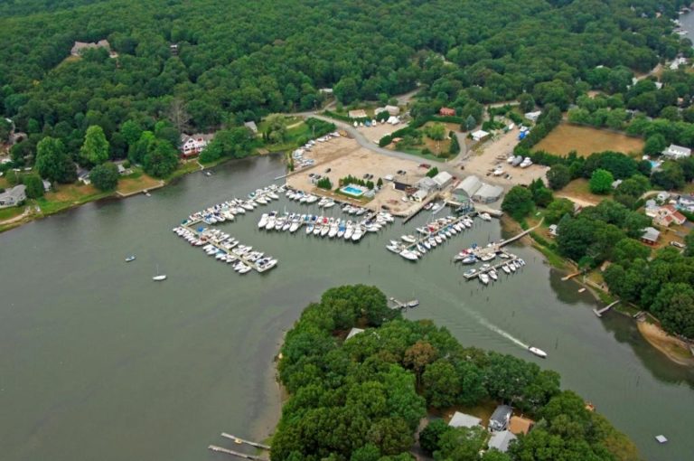 111F754FC547D738335654D8866CEC6D 768x510