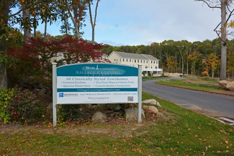 DSC 8503 edited 768x512