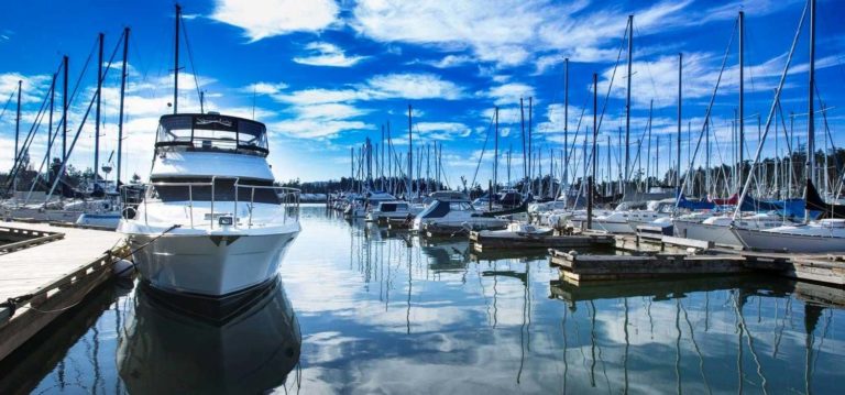 banner 1500x702 1 768x359