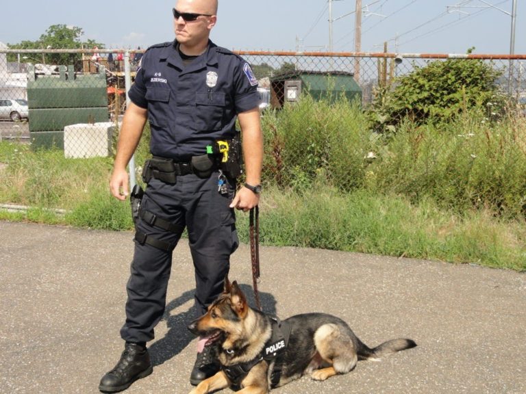 c64dcbab2b65d76c4eb054156a624f14 768x576