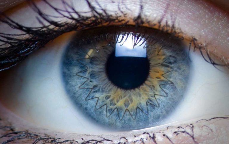 eye 768x484