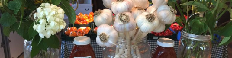 flowers garlic 2000x500 1 768x192