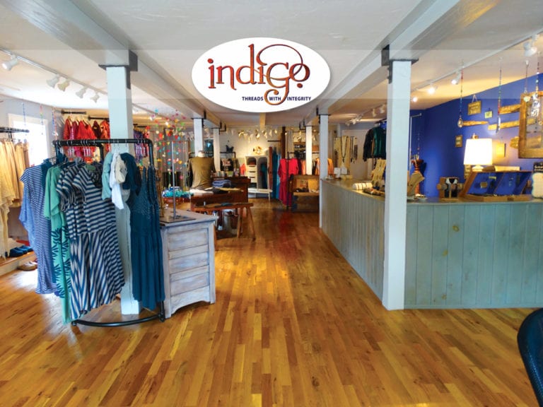 indigo niantic ink publications2 768x576