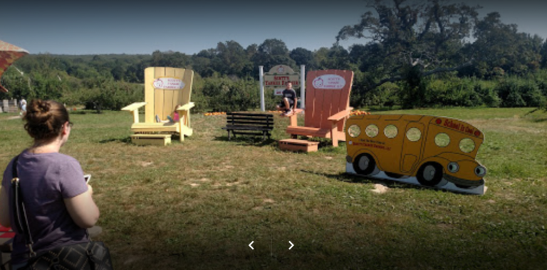 Scotts Yankee Farmer 1 768x380