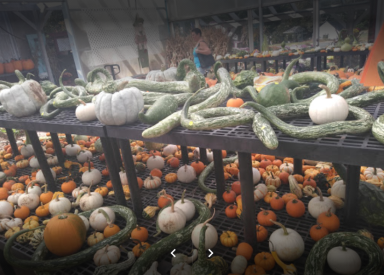 Scotts Yankee Farmer 2 768x550