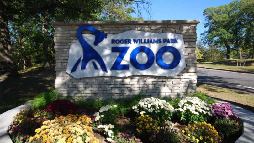 zoo-mbi7eY.tmp_