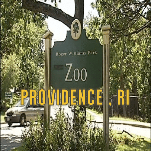 zoo-uKmkjw.tmp_
